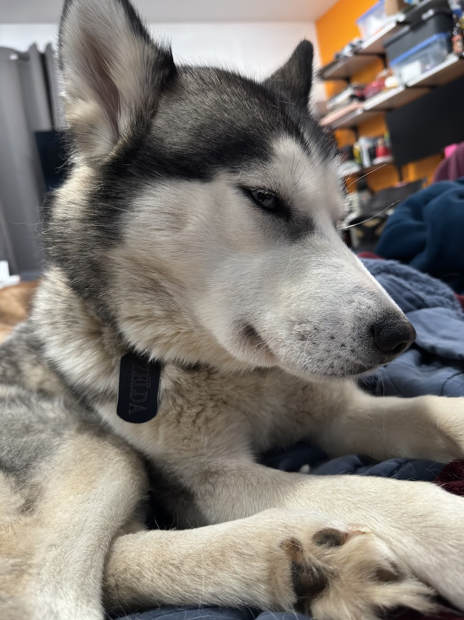 ZeIda