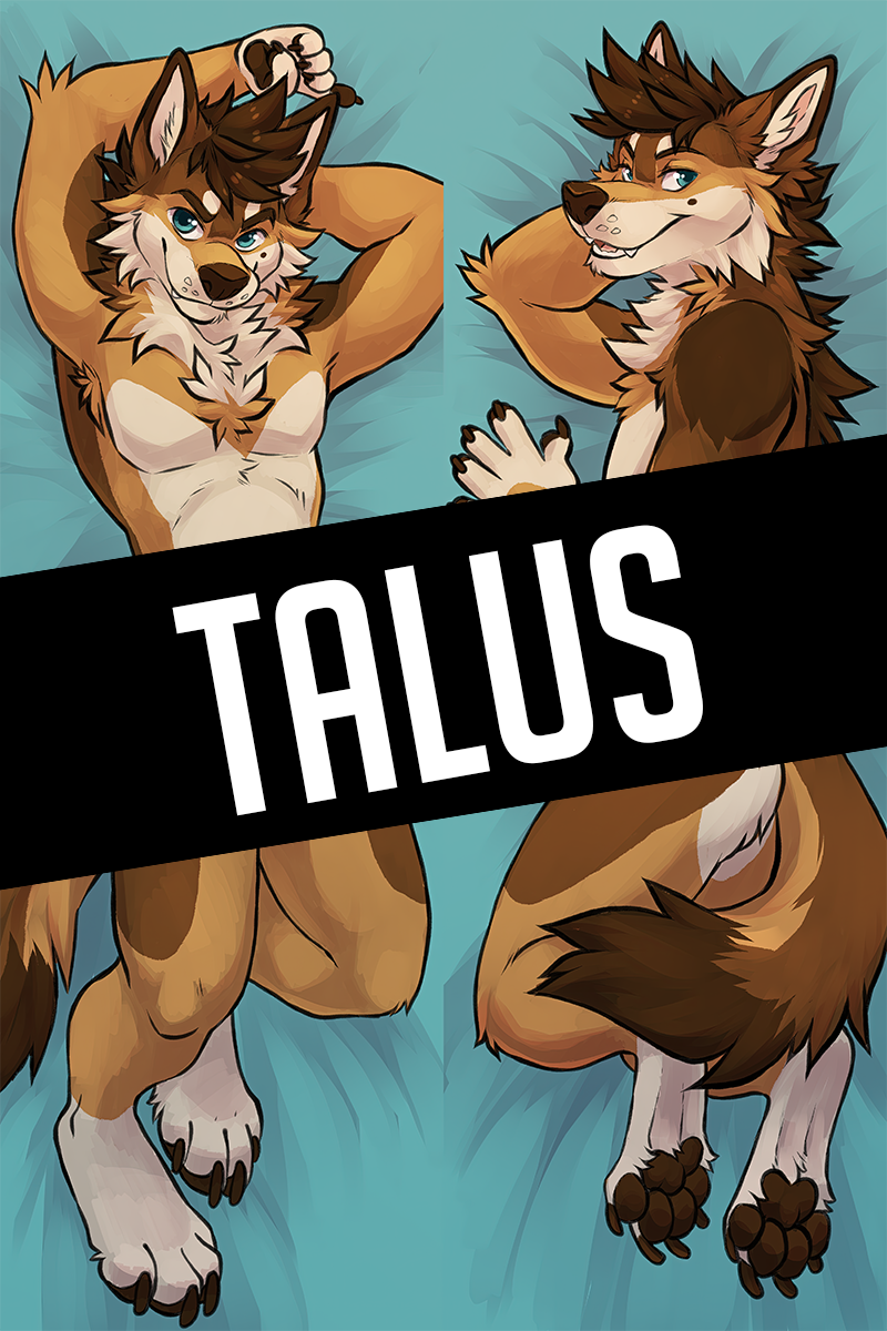 Talus Daki